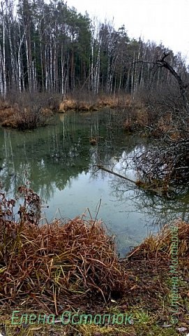 Ни то действительно болотце. Спросить всё равно некого. (фото 6)