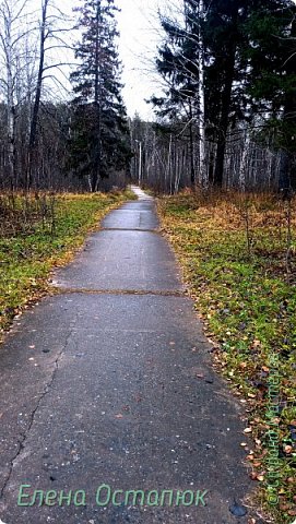 Стараюсь идти по плитам, помню, что места болотистые. Мне тонуть нельзя, мне маму везти обратно надо. Да и до отправления поезда всего каких-то 3-4 часа оставалось, так что без приключений в этот раз обойдёмся. (фото 4)