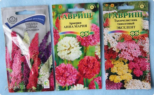 Дятел и Хваст! (фото 12)