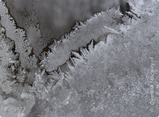 Здравствуйте! 
Зима эта выдалась совсем не зима,а скорее продолжение осени) По-моему,самый холод был,ну,-15... и то,редко. Бывало и + . Поэтому,я уж думала узоров на окне я в этом году не дождусь. А нет,один день я успела увидеть и заснять )) 
18 февраля 2025г. (фото 1)