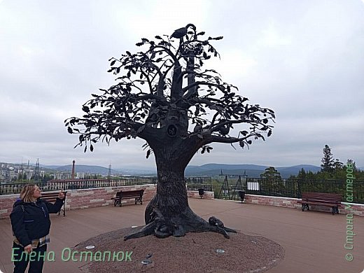 Подсчитываю найденных зверей (фото 51)