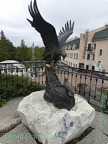 Орёл принёс рыбу птенцу. Судя по блеску рыбы и головы, надо их потереть для исполнения желания (фото 47)