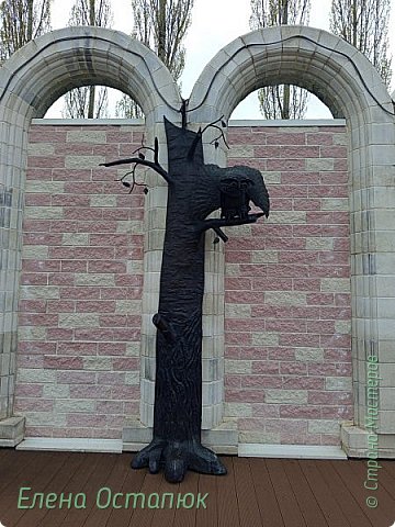 А может и не сова, а филин (фото 41)