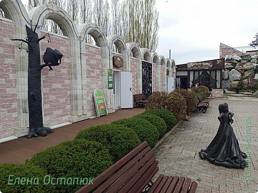 Сова и Огневушка-поскакушка (фото 40)