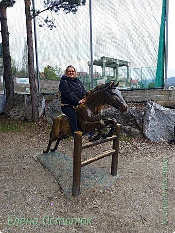 На коня на скаку взгромоздилась  (фото 28)