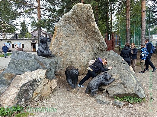 Решила затесаться среди медведей. Кажись никто не заметил (фото 27)