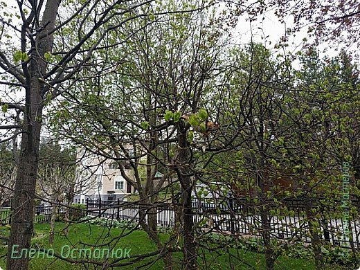 Поездка в Златоуст. Часть шестая. Заключительная (фото 12)