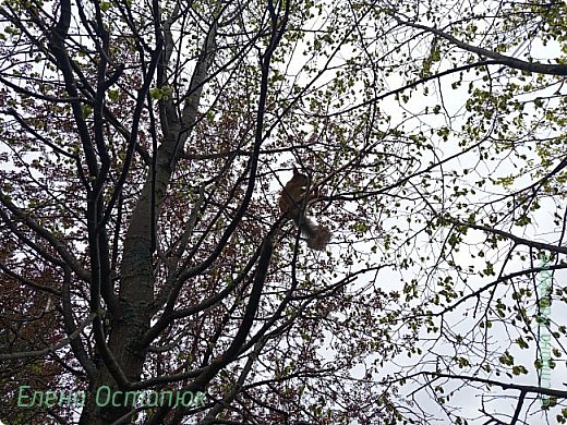 Поездка в Златоуст. Часть шестая. Заключительная (фото 10)