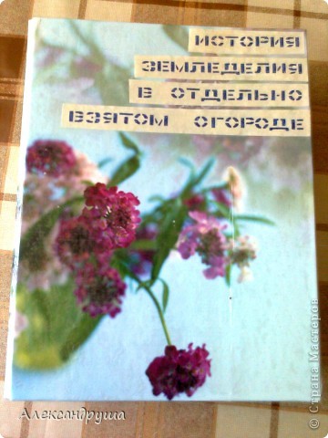 Чтобы объяснить, что послужило для создания данной эмблемы, хочу провести всем небольшой экскурс по нашей усадьбе. Это фотоальбом, который мы ведём с 2005 года. История земледелия в отдельно взятом огороде. Именно в этом году, с весны, мы стали возделывать землю по методу Курдюмова Н.И. И с каждым годом урожаи увеличиваются, а трудоёмкость уменьшается. Некрасивый  огород делает человека трудоголиком, а красивый - даже трудоголика делает человеком! (фото 6)