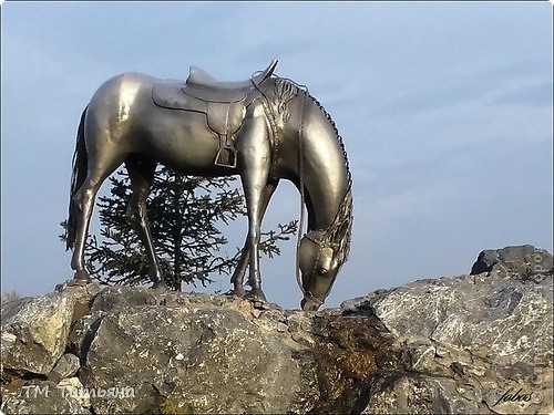 Памятник “Лошадь белая” в Красноярске.
В Красноярске , в рамках празднования Дня города, открыли скульптурную композицию “Лошадь белая”. Установлена она в честь русских первопроходцев в Сибири на “Стрелке” на берегу Енисея. Памятник представляет из себя точную копию лошади среднерусской породы в натуральную величину. Высота около 1.5 метра, вес - 430 килограммов. 

Изготовили лошадь из кованого железа по старинной технологии. Каждый элемент ковался отдельно, затем сваривался с другими. Чтобы правильность форм была соблюдена максимально точно, организаторы проекта приглашали ветеринара. Предметом спора вышел цвет, в какой нужно было выкрасить лошадь. После долгих дебатов казацкая лошадь стала серебряной. (фото 6)