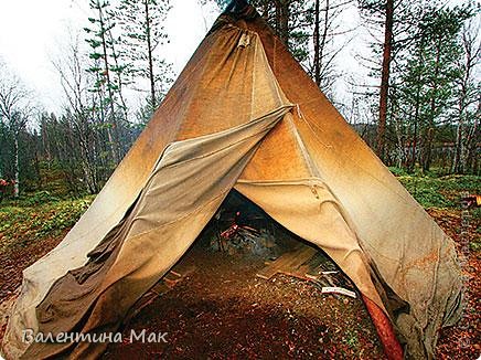 Традиционным переносным жилищем саамов при перекочёвках служил шалаш из жердей, крытый летом мешковиной, а зимой оленьими шкурами, — кувакса у кольских (фото 4)