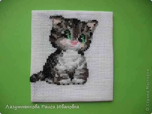 Это котик, который вышила Римма. (фото 2)