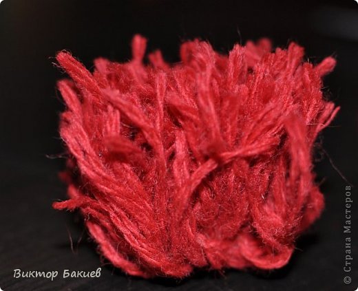 Вообще это розы. Но не знаю- похожи или нет (фото 6)