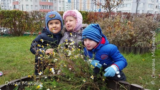 Ну и на прощание фото на территории детского сада... Капельки солнца на нашем участке (фото 15)