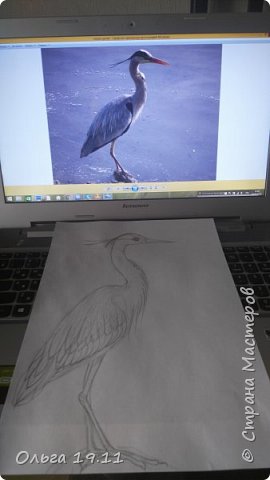 Этап 1. Цаплю срисовала с Интернета   http://vignette1.wikia.nocookie.net/londonbirders/images/b/b1/Grey_Heron.JPG/revision/20120228163156
 (фото 3)