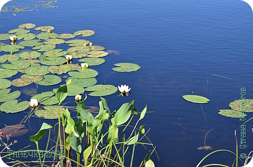 Красота родного края. (фото 10)