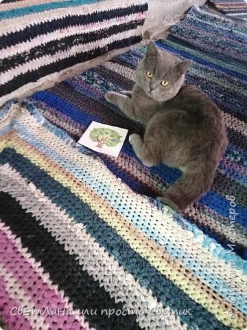 А это мой кот, который очень любит отдыхать на моих вязанных ковриках. (фото 6)