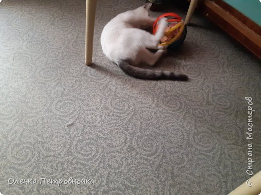 Когда вернула туда шар из модулей, он с удовольствием стал с ним играть. (фото 17)