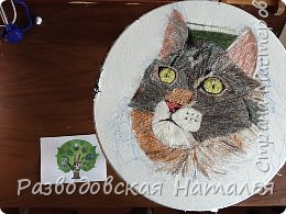 Потом мама перетянула мне ткань с моим котом на самодельный станок из пластиковой ёмкости. И вышивать стало намного удобнее. Но работа над котом тогда летом остановилась. Ни усов, ни полосок на шерсти, ни фона вокруг мордочки кота... (фото 7)