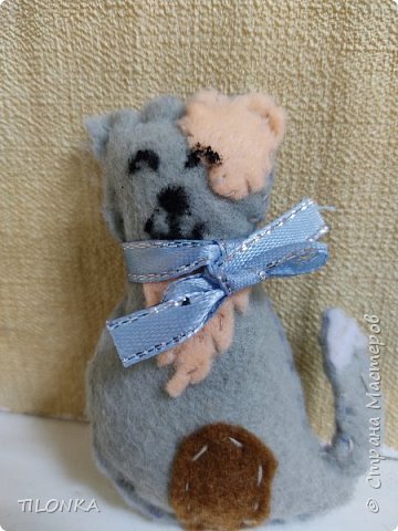 А вот и я -маленький котенок спешу на праздник. (фото 1)