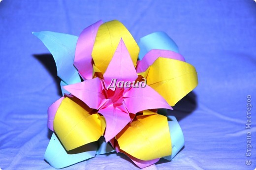 Полная лилия (фото 1)