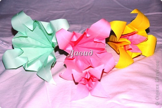 Разобранная лилия (фото 2)