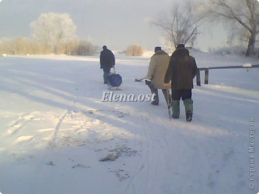 Идем домой. На саночках везем добытый трофей. (фото 19)