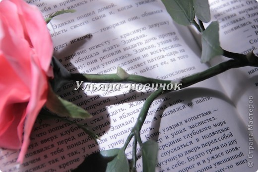 шипики и ствол по-ближе. Ствол ровняла сырой кисточкой после примотки и обмазывании фарфором. Шипики - тоже сырой кисточкой заглаживала. Все еще потом затонировала красно-зеленой пастелью ( люблю пастелью орудовать))) и покрыла в один слой матовым лаком... ну потому что у настоящей розы ствол слегка блестит))) (фото 4)
