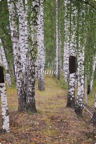 Тропка для одного.. (фото 5)