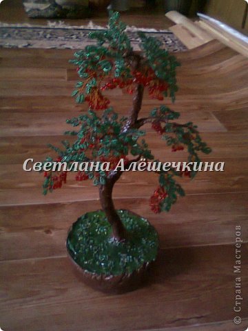 рябина (фото 6)