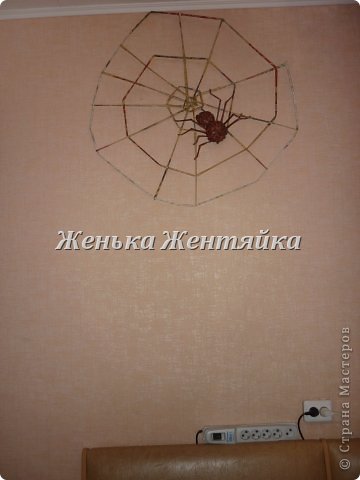 Покрашен лаком! не до конца, потому как подплетала, мужу не понравилось, что паутина была как бы не закончена! (фото 11)