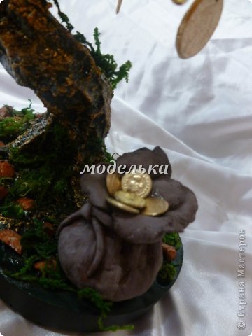 денежное дерево (фото 2)