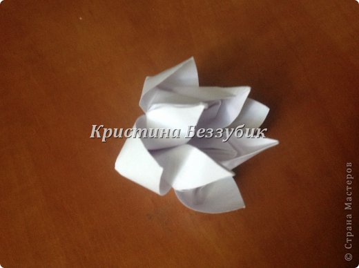 Привет! Сегодня показываю МК вот такого цветочка)
http://planetaorigami.ru/2012/11/origami-cvetok-ot-christine-edison/ это ссылка откуда взяла (фото 1)