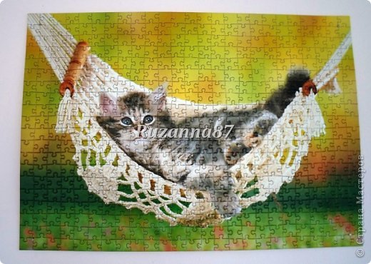 CASTORLAND Kitten in a Sock 500 Piece Jigsaw Puzzle  (фото 2)