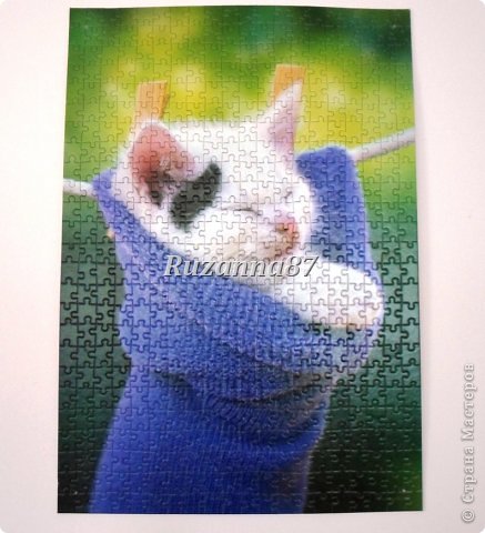 CASTORLAND Kitten in a Sock 500 Piece Jigsaw Puzzle  (фото 3)