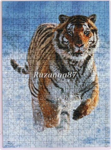  RAVENSBURGER Tiger in the Snow 500 Pieces Jigsaw Puzzle (фото 5)