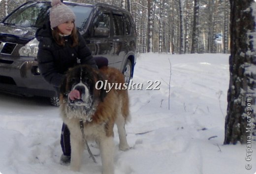 А это я со своей "маленькой" собачкой :D (фото 7)